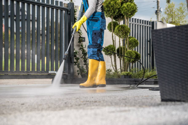 Best Concrete Surface Cleaning in Wallis, TX